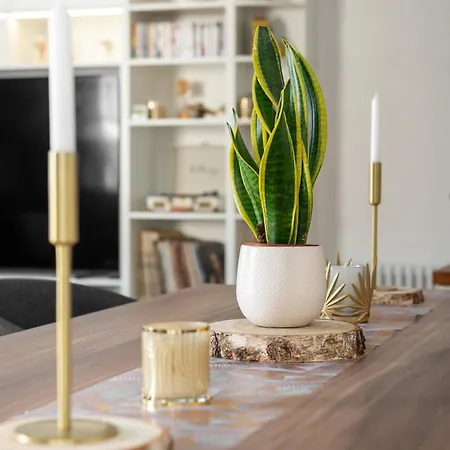 D'exception En Plein Coeur De Apartment