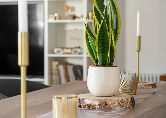 D'exception En Plein Coeur De Apartment